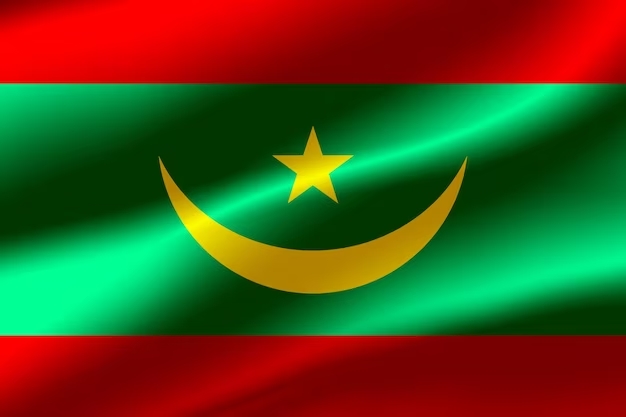 drapeau-mauritanie-arriere-plan_454892-1312
